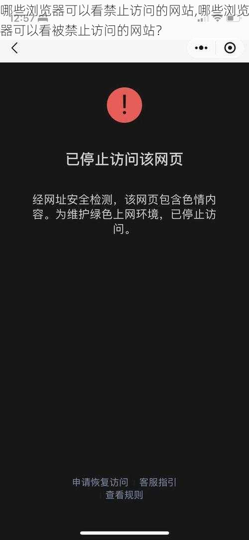 哪些浏览器可以看禁止访问的网站,哪些浏览器可以看被禁止访问的网站？