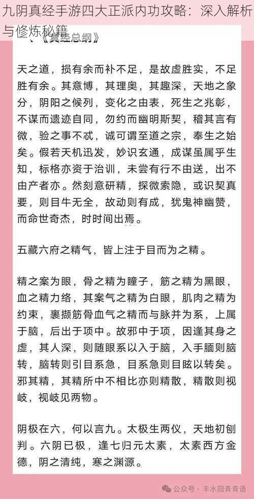 九阴真经手游四大正派内功攻略：深入解析与修炼秘籍