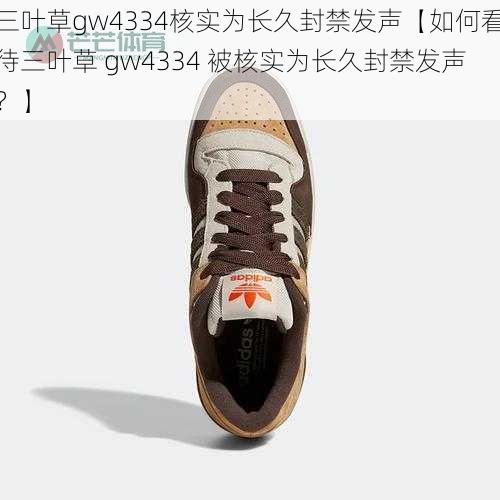 三叶草gw4334核实为长久封禁发声【如何看待三叶草 gw4334 被核实为长久封禁发声？】