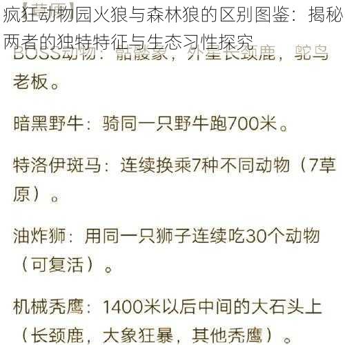 疯狂动物园火狼与森林狼的区别图鉴：揭秘两者的独特特征与生态习性探究