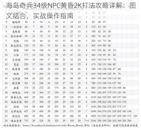 海岛奇兵34级NPC黄昏2K打法攻略详解：图文结合，实战操作指南