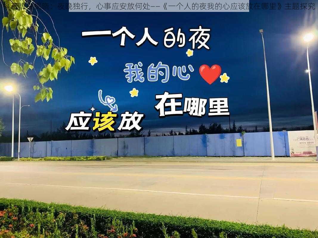 抖音热曲揭晓：夜晚独行，心事应安放何处——《一个人的夜我的心应该放在哪里》主题探究