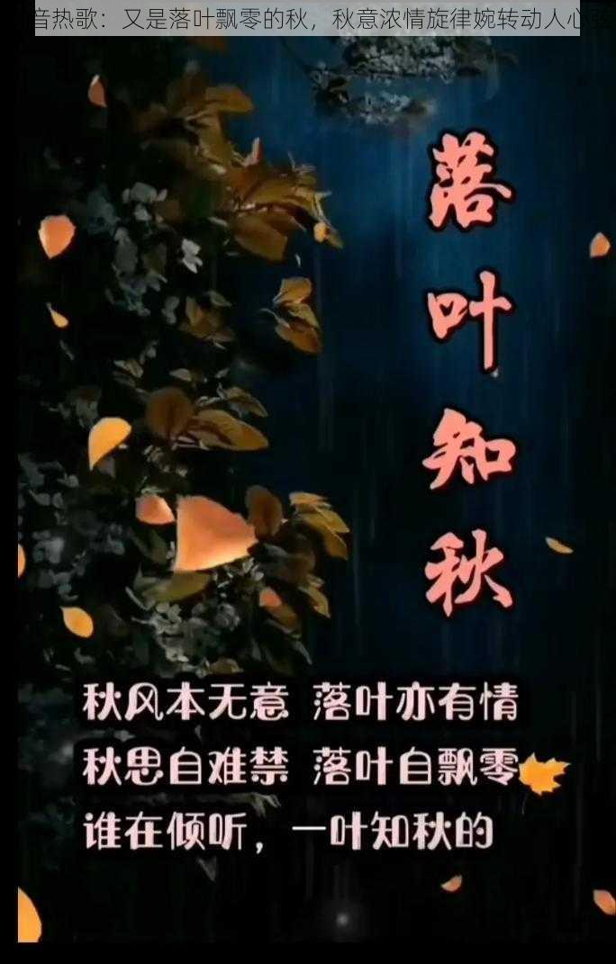 抖音热歌：又是落叶飘零的秋，秋意浓情旋律婉转动人心弦