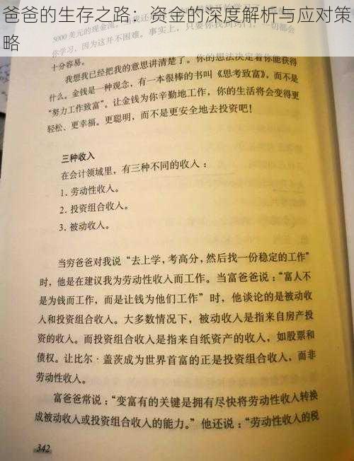 爸爸的生存之路：资金的深度解析与应对策略