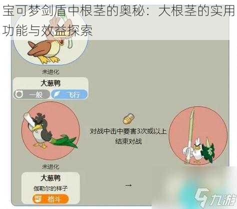 宝可梦剑盾中根茎的奥秘：大根茎的实用功能与效益探索