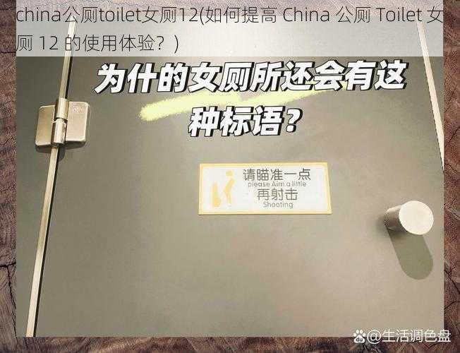 china公厕toilet女厕12(如何提高 China 公厕 Toilet 女厕 12 的使用体验？)