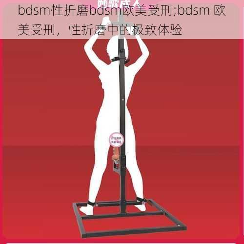 bdsm性折磨bdsm欧美受刑;bdsm 欧美受刑，性折磨中的极致体验