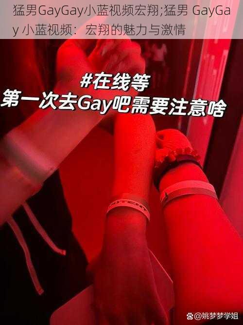 猛男GayGay小蓝视频宏翔;猛男 GayGay 小蓝视频:宏翔的魅力与激情