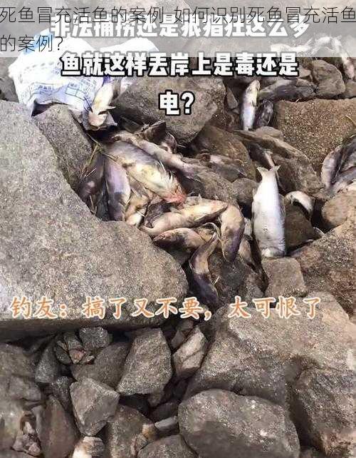 死鱼冒充活鱼的案例-如何识别死鱼冒充活鱼的案例？