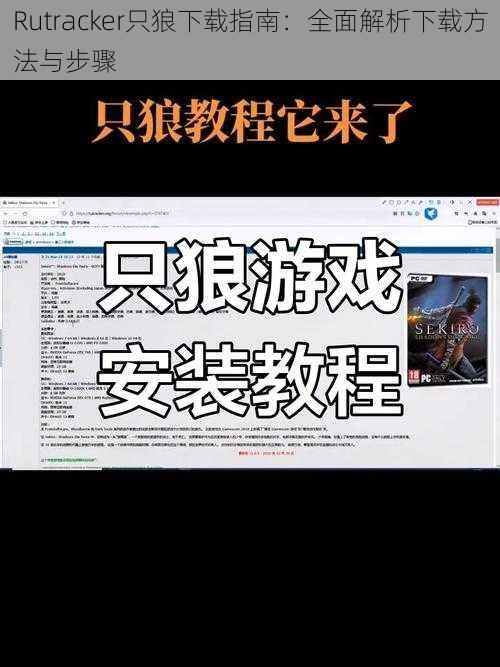 Rutracker只狼下载指南：全面解析下载方法与步骤