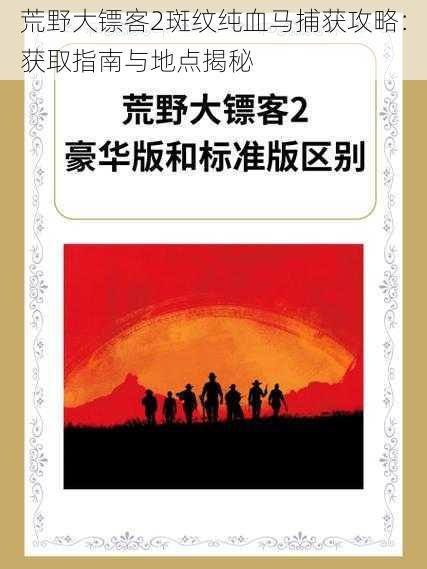 荒野大镖客2斑纹纯血马捕获攻略：获取指南与地点揭秘