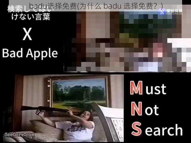 badu选择免费(为什么 badu 选择免费？)