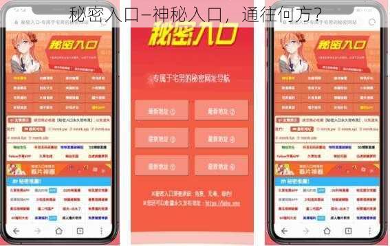 秘密入口—神秘入口，通往何方？