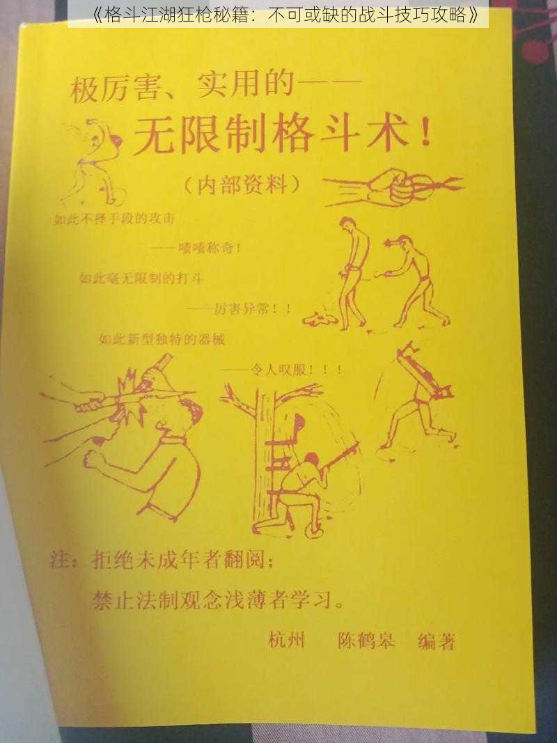 《格斗江湖狂枪秘籍：不可或缺的战斗技巧攻略》