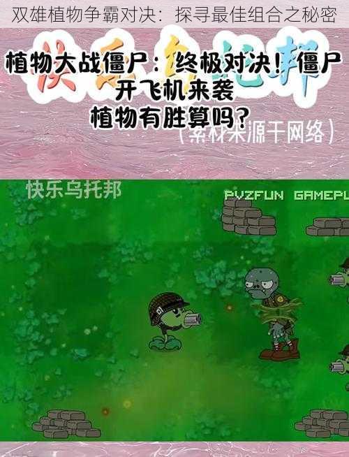 双雄植物争霸对决：探寻最佳组合之秘密