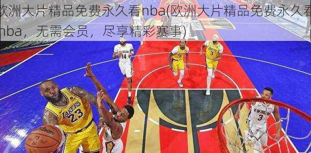 欧洲大片精品免费永久看nba(欧洲大片精品免费永久看 nba，无需会员，尽享精彩赛事)