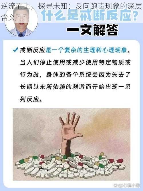 逆流而上，探寻未知：反向跑毒现象的深层含义