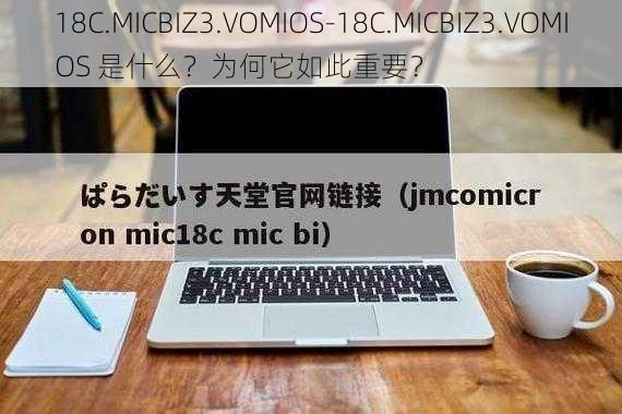 18C.MICBIZ3.VOMIOS-18C.MICBIZ3.VOMIOS 是什么？为何它如此重要？