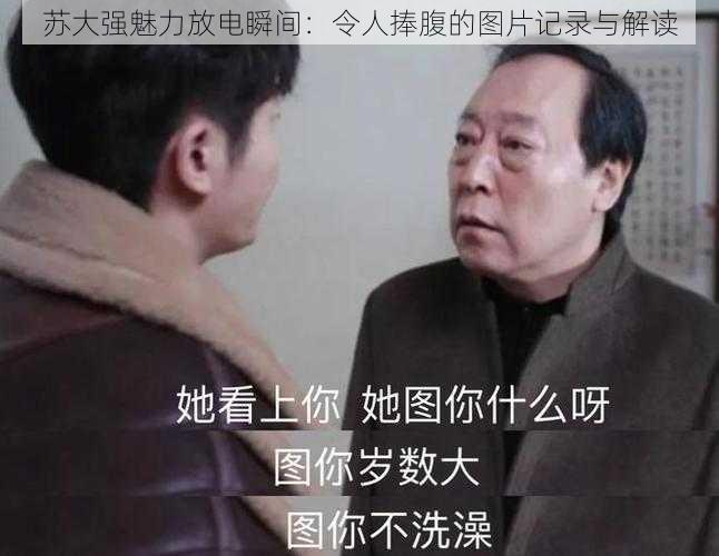 苏大强魅力放电瞬间：令人捧腹的图片记录与解读