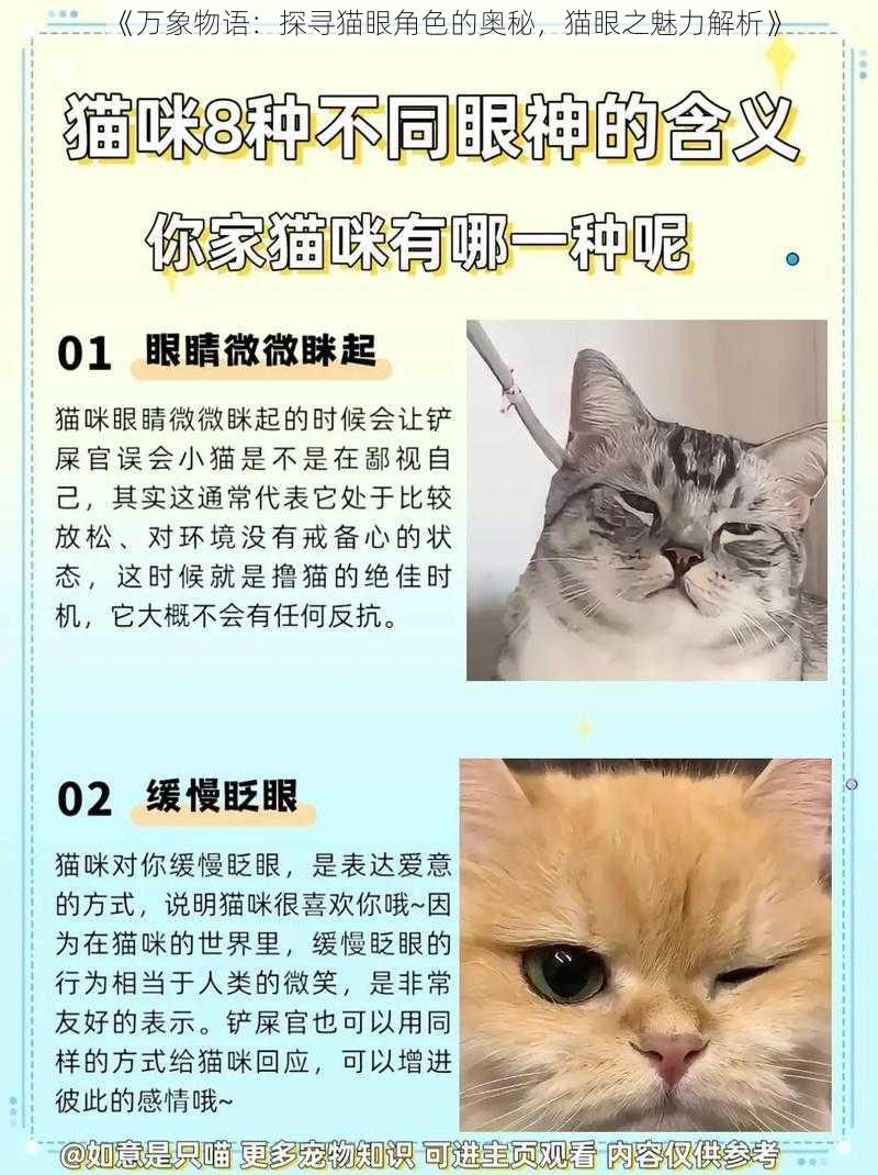 《万象物语：探寻猫眼角色的奥秘，猫眼之魅力解析》