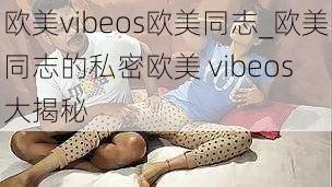 欧美vibeos欧美同志_欧美同志的私密欧美 vibeos 大揭秘