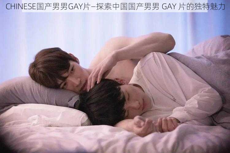 CHINESE国产男男GAY片—探索中国国产男男 GAY 片的独特魅力