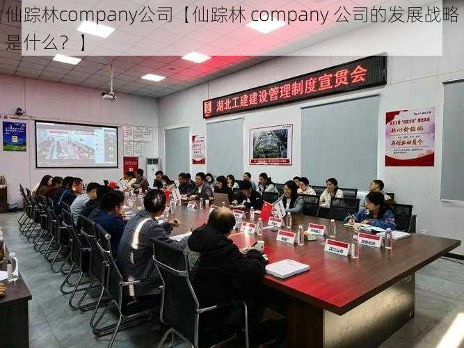 仙踪林company公司【仙踪林 company 公司的发展战略是什么？】