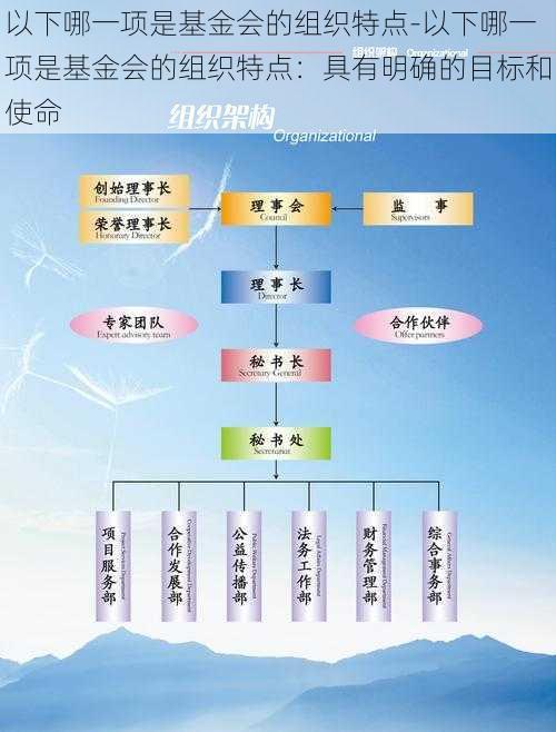 以下哪一项是基金会的组织特点-以下哪一项是基金会的组织特点：具有明确的目标和使命