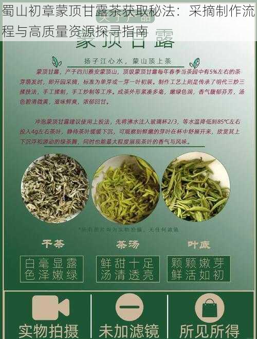 蜀山初章蒙顶甘露茶获取秘法：采摘制作流程与高质量资源探寻指南