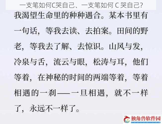 一支笔如何C哭自己、一支笔如何 C 哭自己？