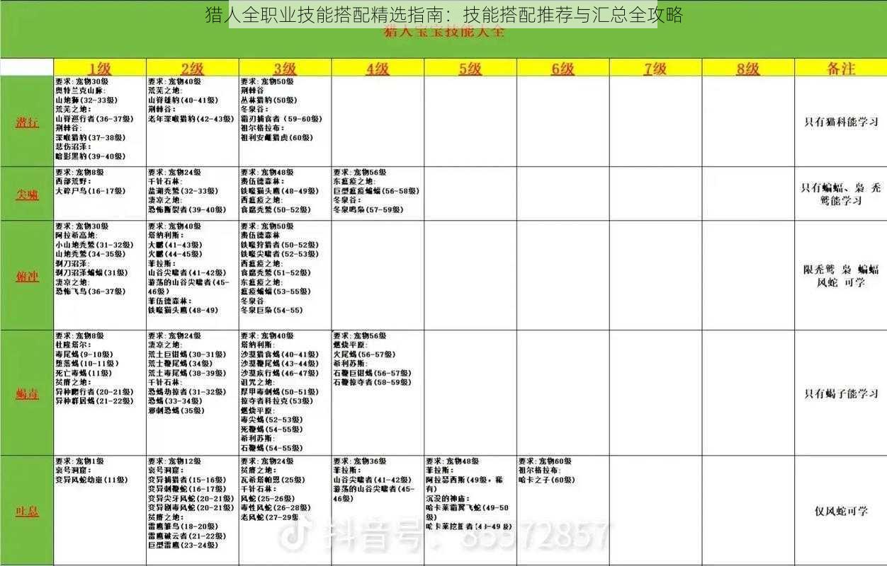 猎人全职业技能搭配精选指南：技能搭配推荐与汇总全攻略