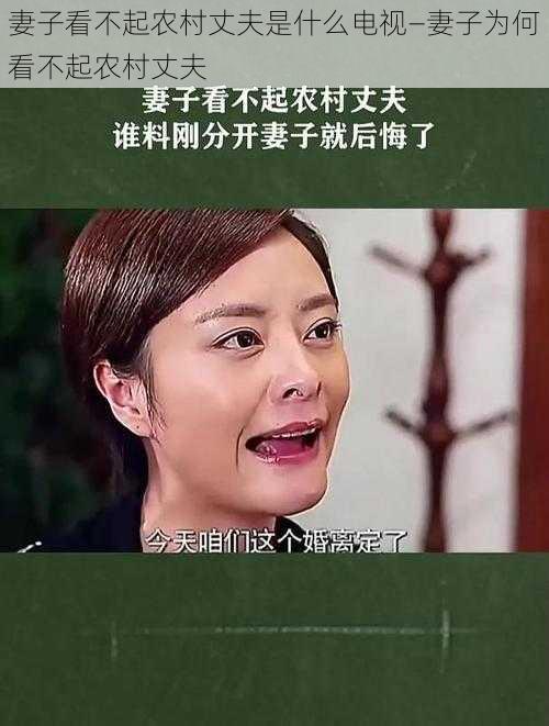 妻子看不起农村丈夫是什么电视—妻子为何看不起农村丈夫