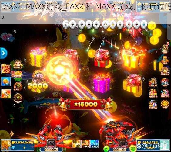 FAXX和MAXX游戏_FAXX 和 MAXX 游戏，你玩过吗？