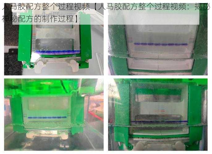 人马胶配方整个过程视频【人马胶配方整个过程视频：揭秘神秘配方的制作过程】