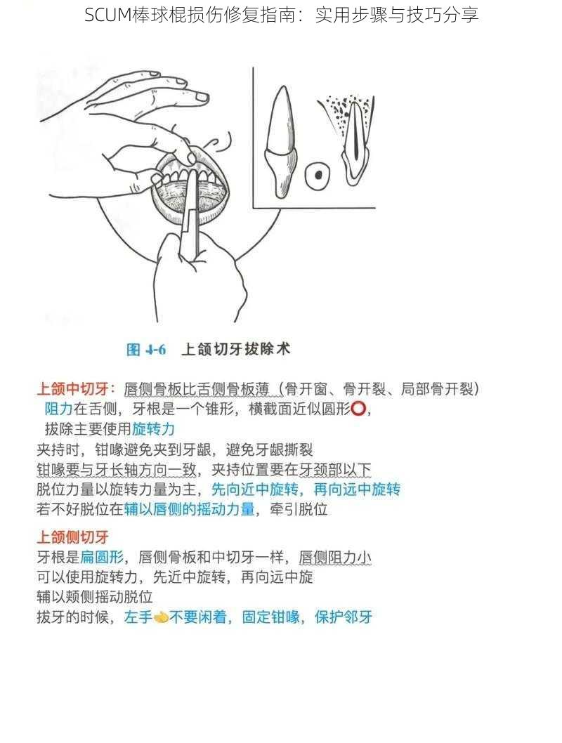 SCUM棒球棍损伤修复指南：实用步骤与技巧分享