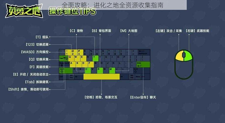 全面攻略：进化之地全资源收集指南