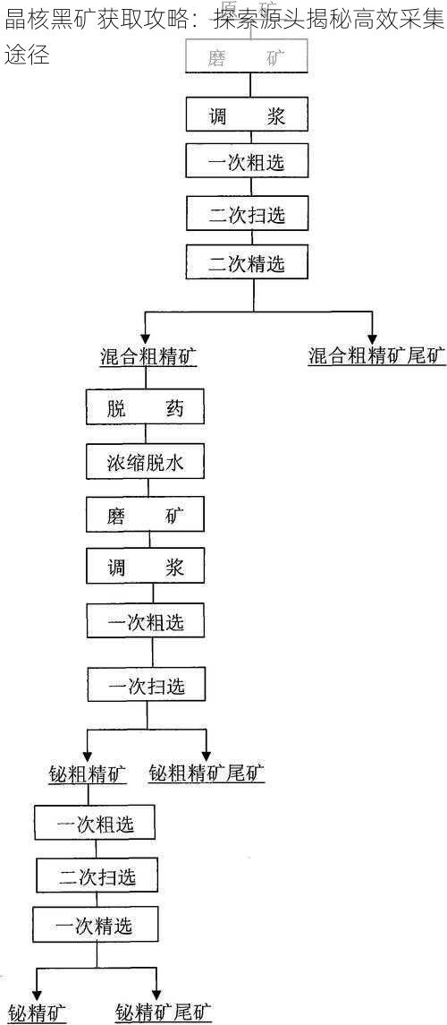 晶核黑矿获取攻略：探索源头揭秘高效采集途径