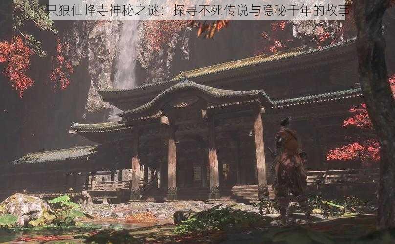 只狼仙峰寺神秘之谜:探寻不死传说与隐秘千年的故事